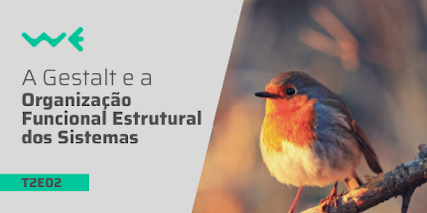 T2E02: A Gestalt e a Organização Funcional Estrutural dos Sistemas