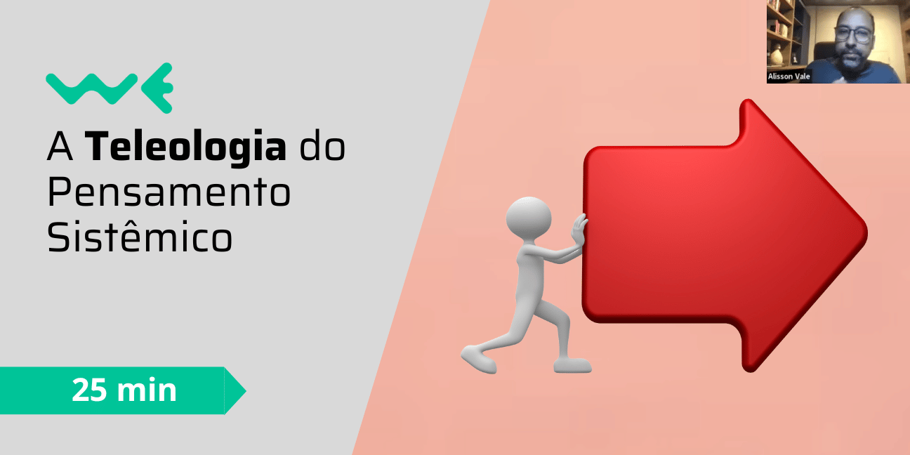 A teleologia do Pensamento Sistêmico