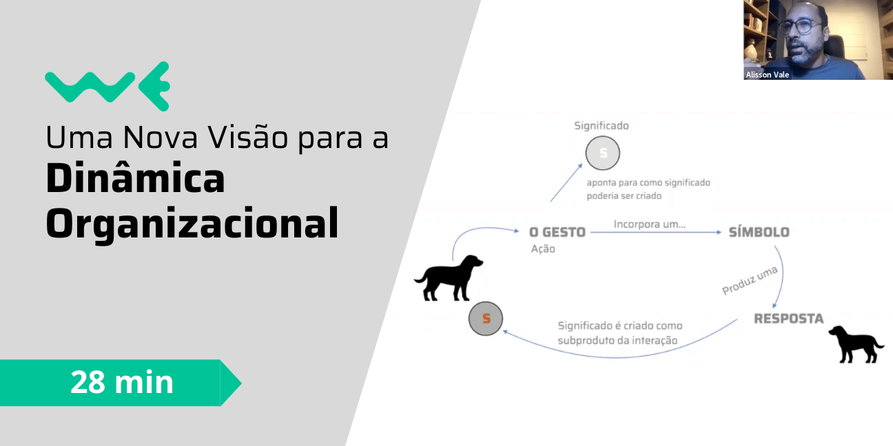 Uma nova visão para a dinâmica organizacional