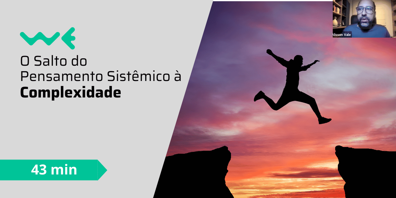 O salto do Pensamento Sistêmico à Complexidade
