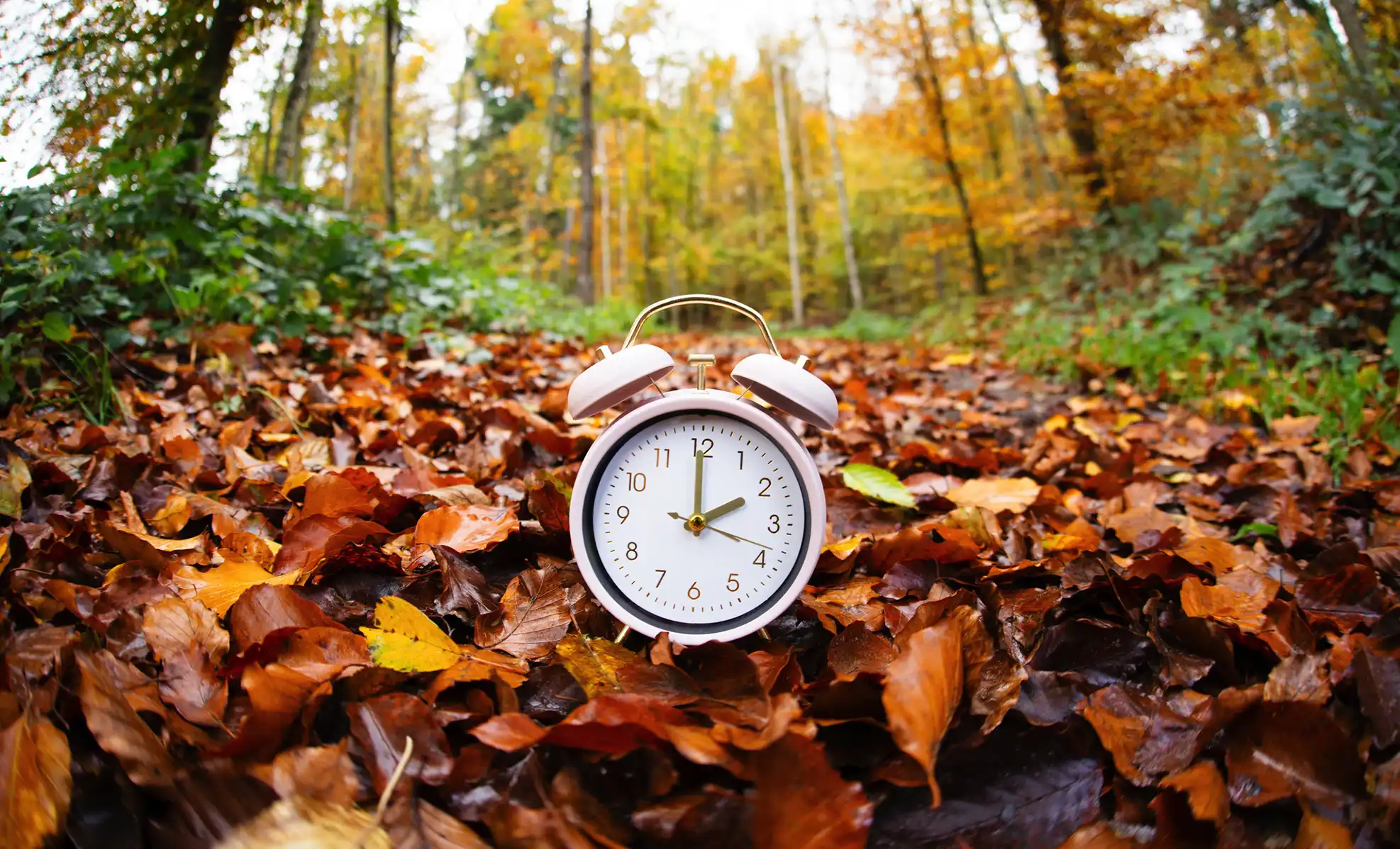 How to Adjust to Daylight Saving Time Like a Pro