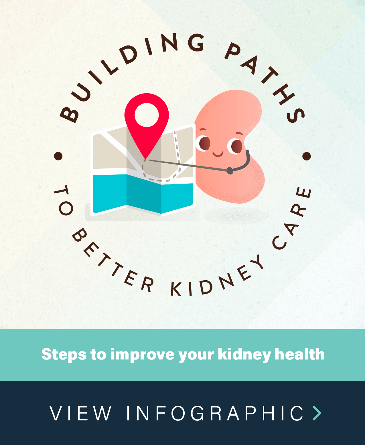 Click for Kidney Building Paths Infographic