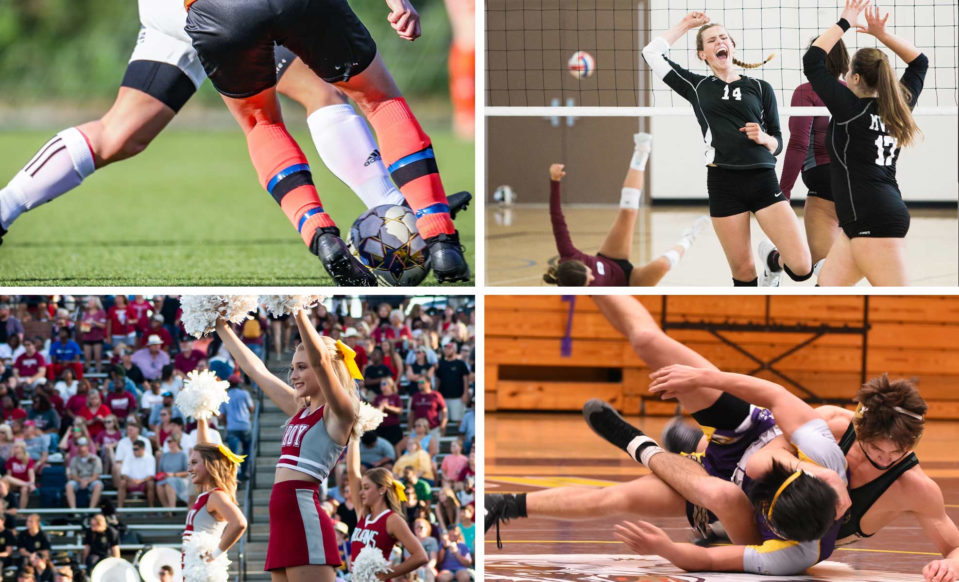 Image of 4 sports - soccer, volleyball, cheerleading and wrestling