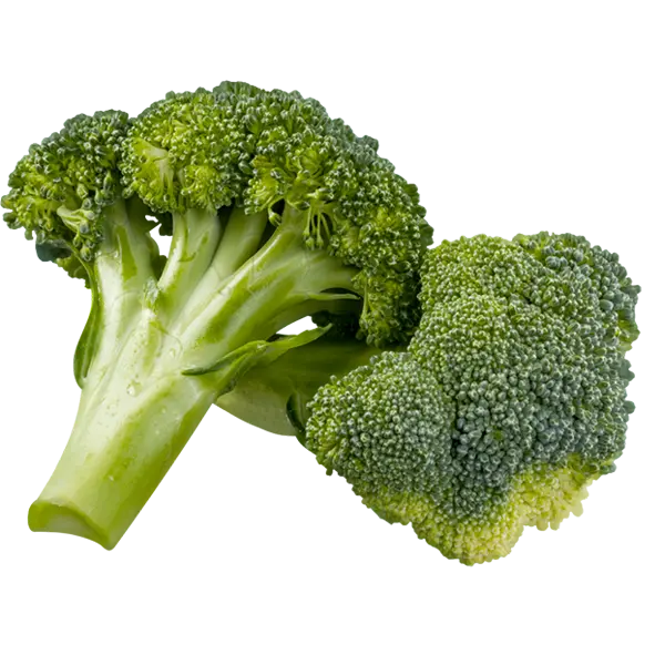 fresh broccoli