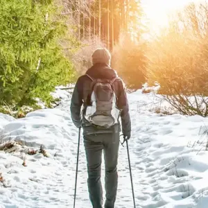 Six Healthy Lifestyle Habits to Shape Your Heart Health