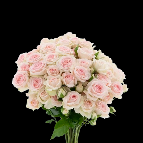 Happy Wedding