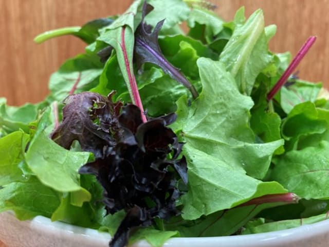 Lettuce - Salad Mix 1Kg2025