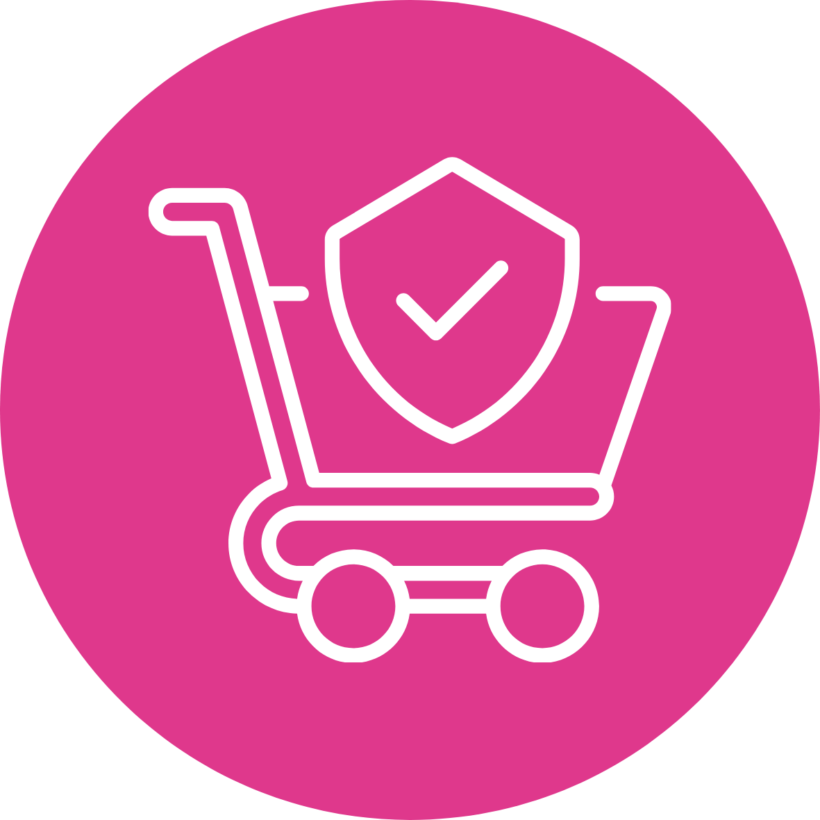 Secure checkout
