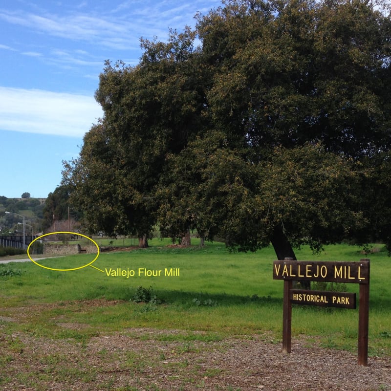 Remnants of the Vallejo Four Mill