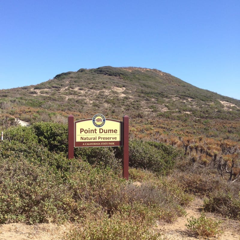 CHL #965 - Point Dume Natural Preserve