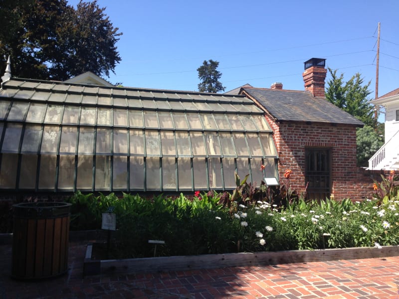 CHL #234 - Luther Burbank House and Garden Green House