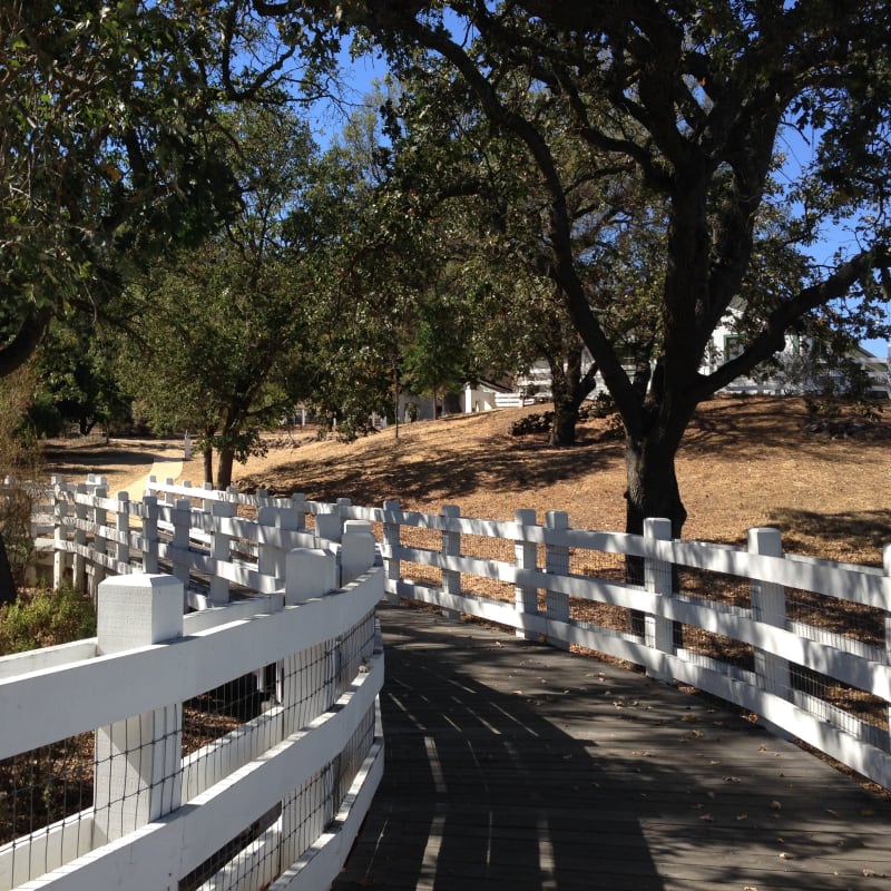 Walk way to  CHL #510 - Francisco Solano Alviso Adobe