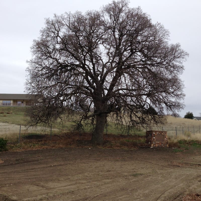 CHL #643 - Tehachapi Old Town 