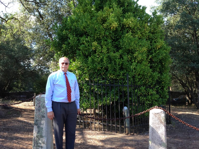 NO. 1043 Mother Orange Tree of Butte County