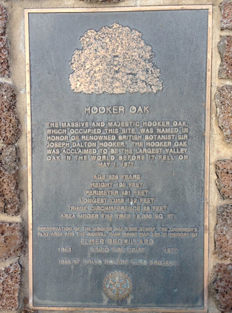 NO. 313 HOOKER OAK - Private Plaque