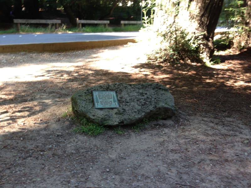 NO. 207 FIRST SAWMILL IN MARIN COUNTY - Private Plaque