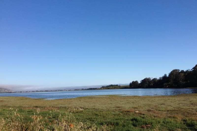 NO. 221 SITE OF THE LIGHTER WHARF AT BOLINAS