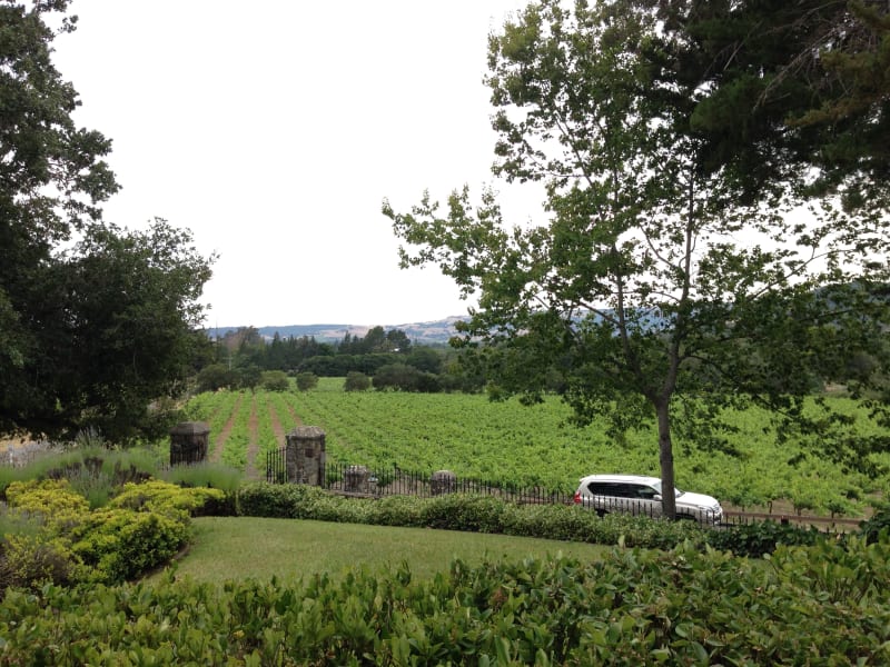 NO. 392-1 SITE OF HARASZTHY VILLA - View from Front Porch