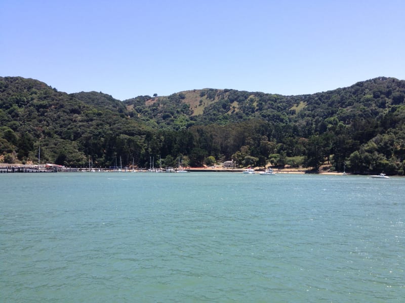 NO. 529 ANGEL ISLAND 