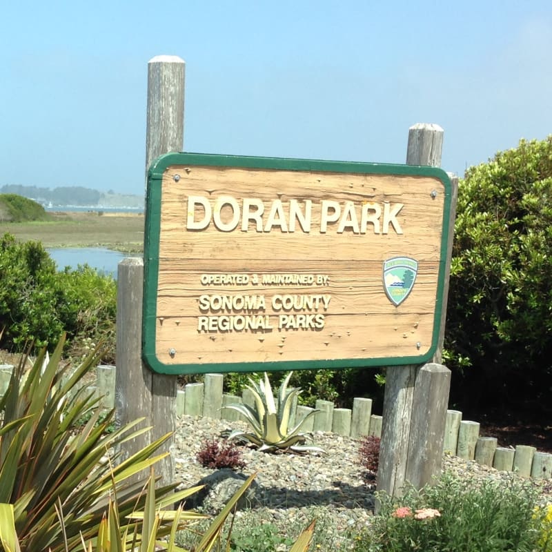 NO. 833 BODEGA BAY AND HARBOR - Doran Park