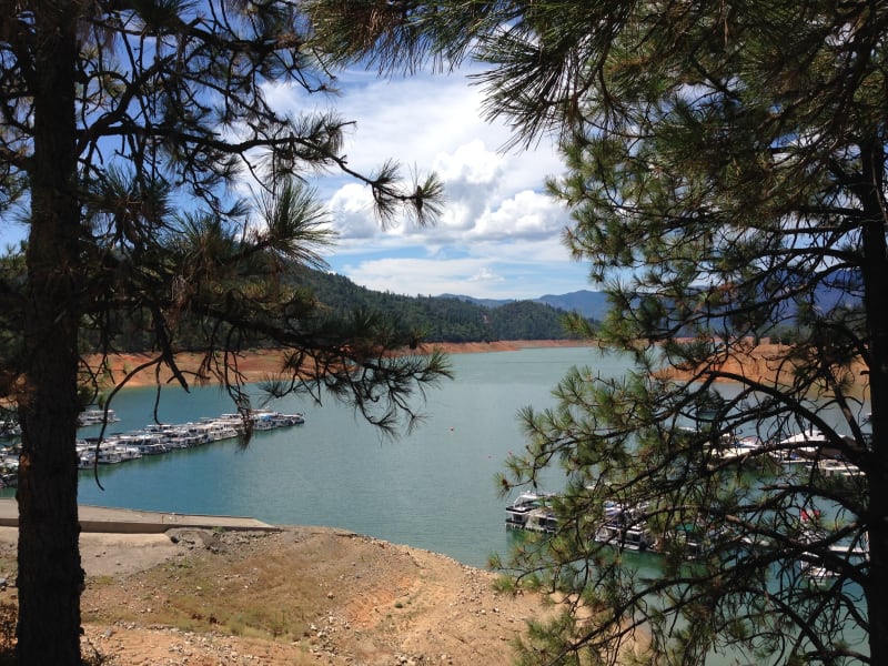 NO. 148 BASS HILL - Shasta Lake