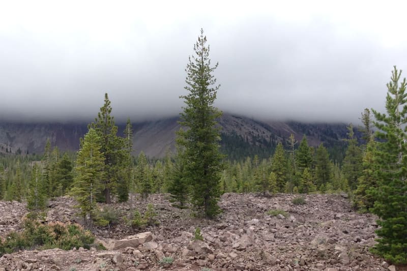 NO. 11 NOBLE PASS ROUTE - Fragments of Lassen Peak on north side of Hwy 89.