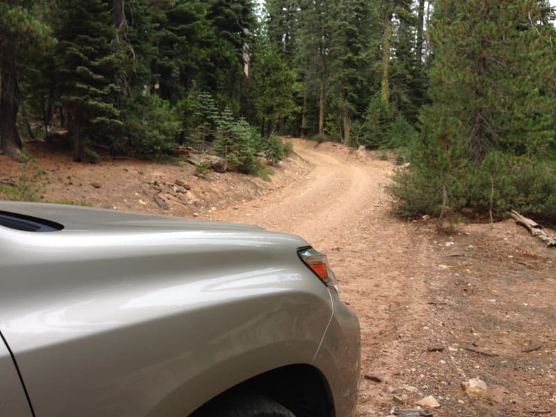 NO. 971 SIERRA COUNTY SHERIFF'S GALLOWS - Road to Downeville