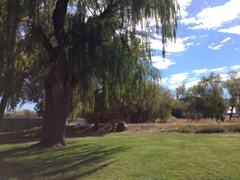 NO. 675 NOBLE EMIGRANT TRAIL, SUSANVILLE - The marker is deep in the park.