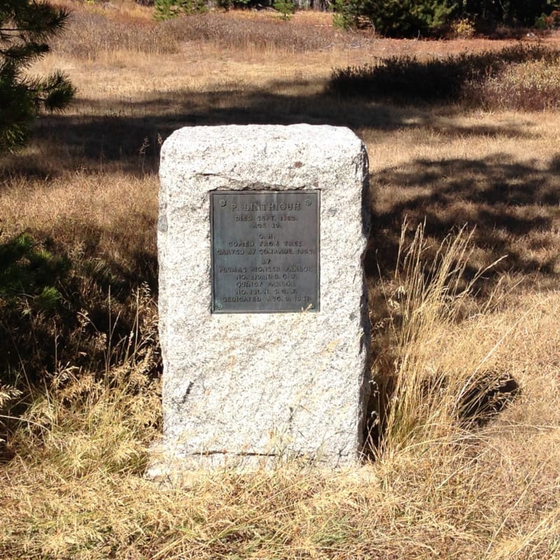 NO. 212 PIONEER GRAVE (GRIZZLY CREEK) - Marker