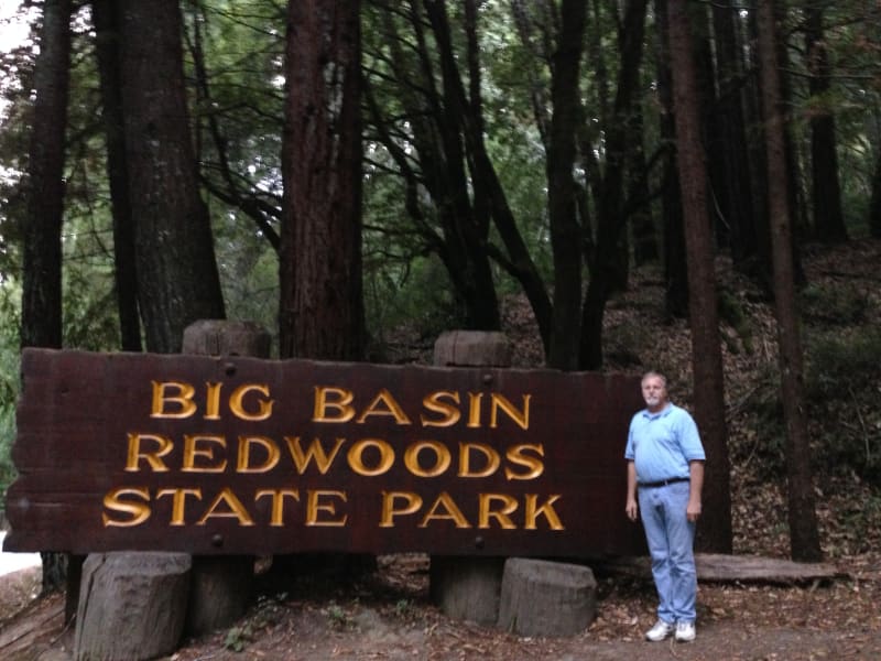 NO. 827 BIG BASIN REDWOODS STATE PARK 