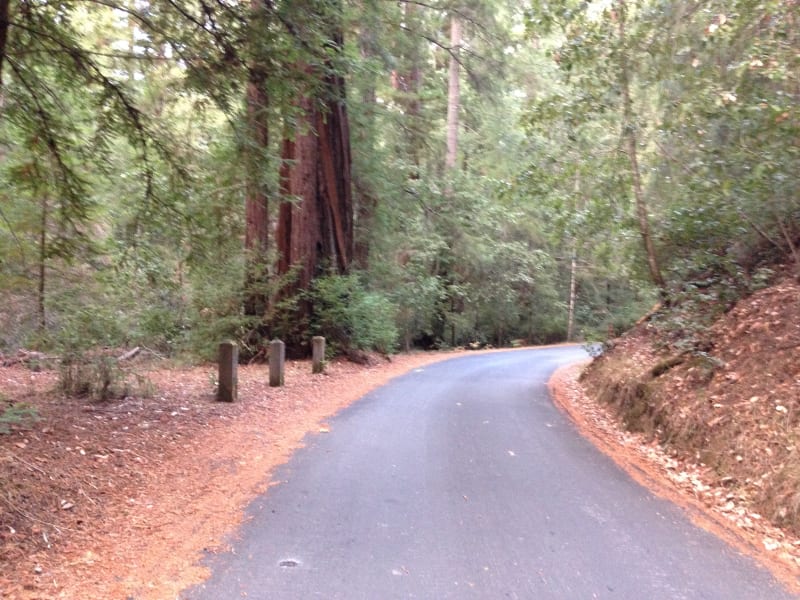 NO. 827 BIG BASIN REDWOODS STATE PARK - Sky Meadow Rd to Slippery Rock