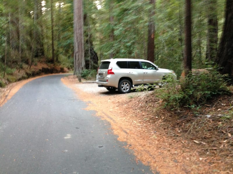 NO. 827 BIG BASIN REDWOODS STATE PARK - Parking at Slippery Rock