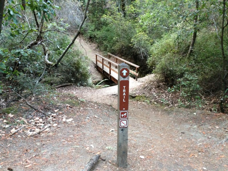 NO. 827 BIG BASIN REDWOODS STATE PARK - Trail on the North east of parking.