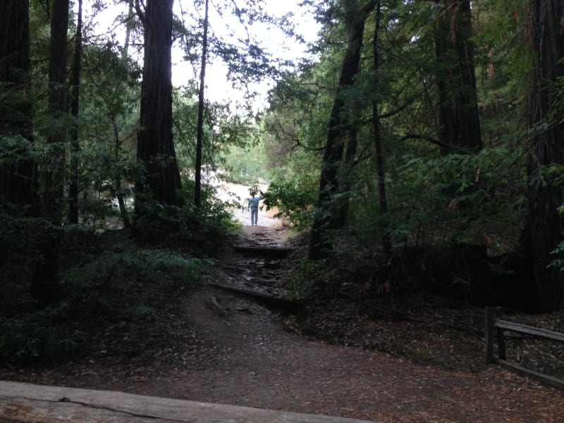 NO. 827 BIG BASIN REDWOODS STATE PARK - Trail on the south west of parking