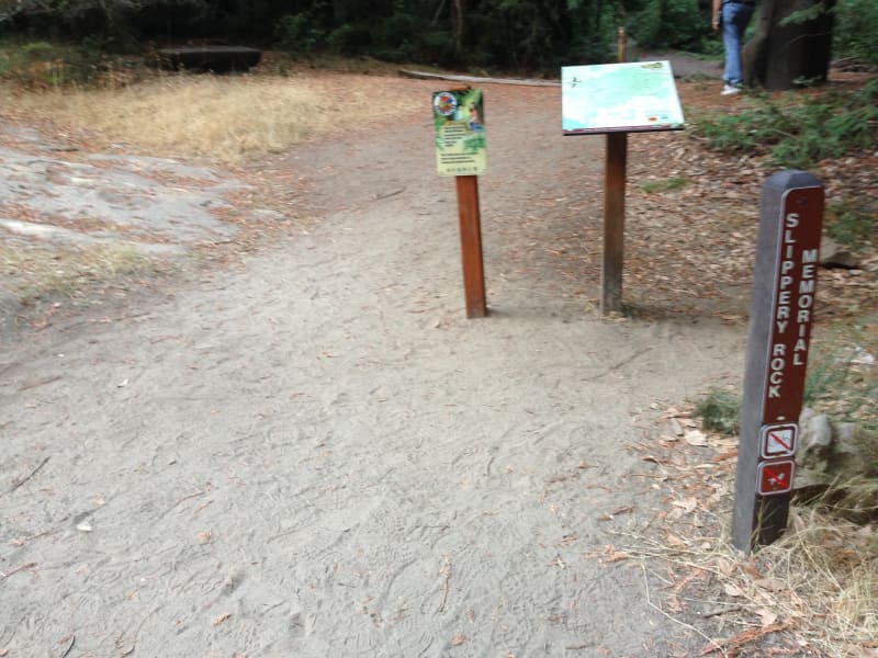 NO. 827 BIG BASIN REDWOODS STATE PARK - Base of Slippery Rock