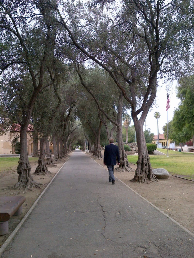 NO. 150 BRAND PARK (MEMORY GARDEN) - Walkway