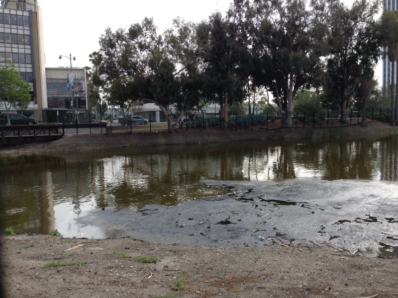 NO. 170 HANCOCK PARK LA BREA - Methane gas bubbling through the tar