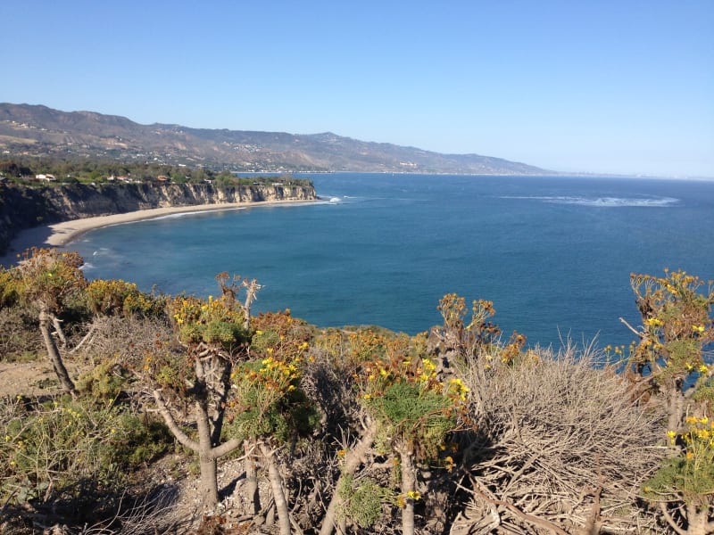 CHL No. 965 - Point Dume - View from Point Dume