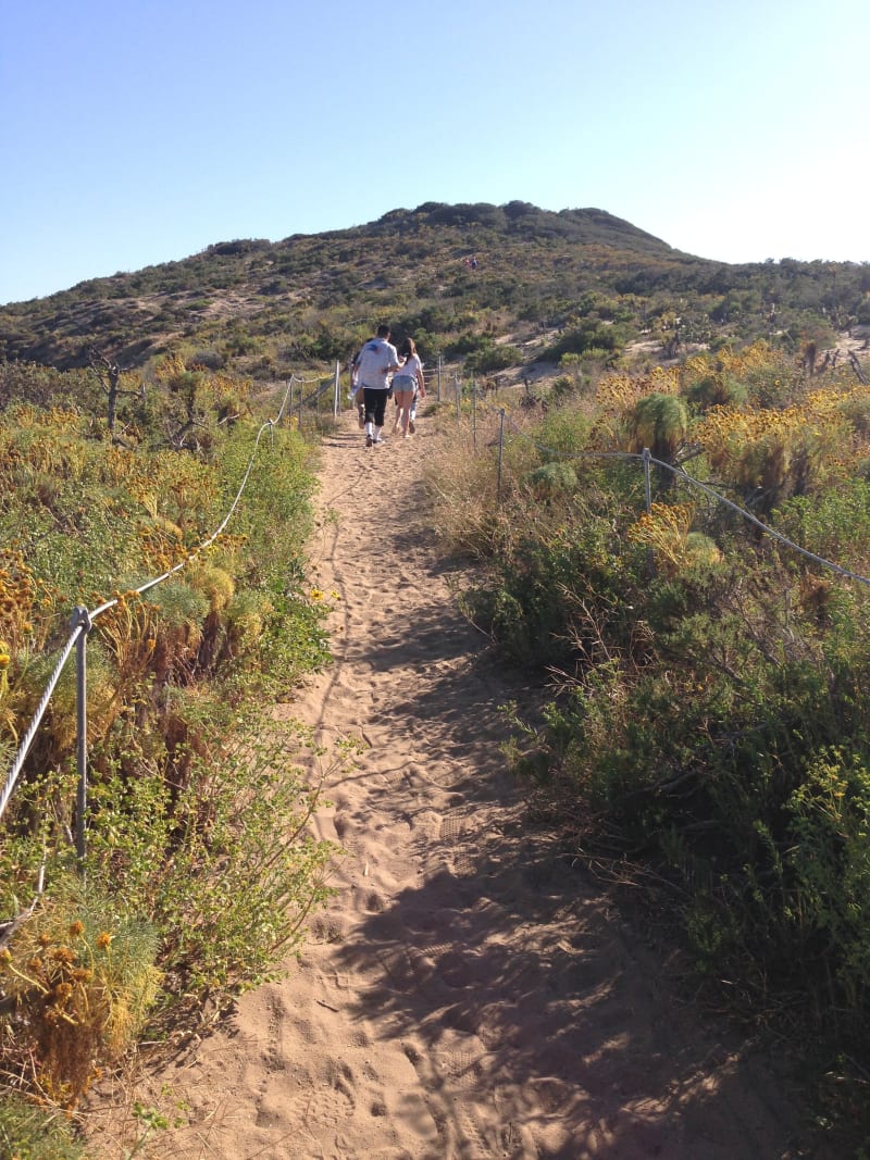 CHL No. 965 - Point Dume - Trail up to the marker