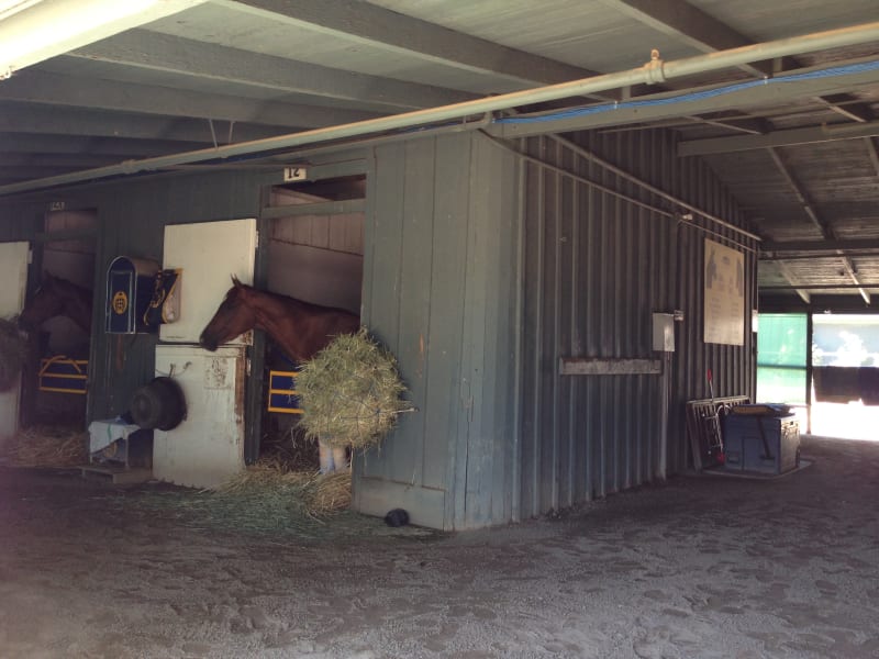 NO. 934  SANTA ANITA ASSEMBLY CENTER - Horse Stalls