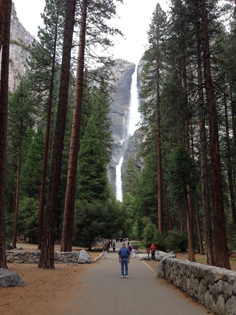 NO. 790 YOSEMITE VALLEY - Yosemite Falls