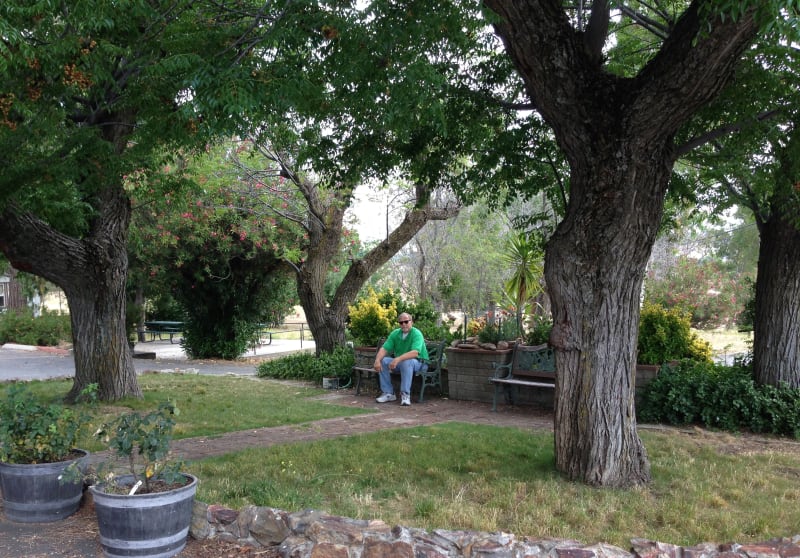 NO. 369 CHAPEL OF SANTA YSABEL (SITE OF) - grounds