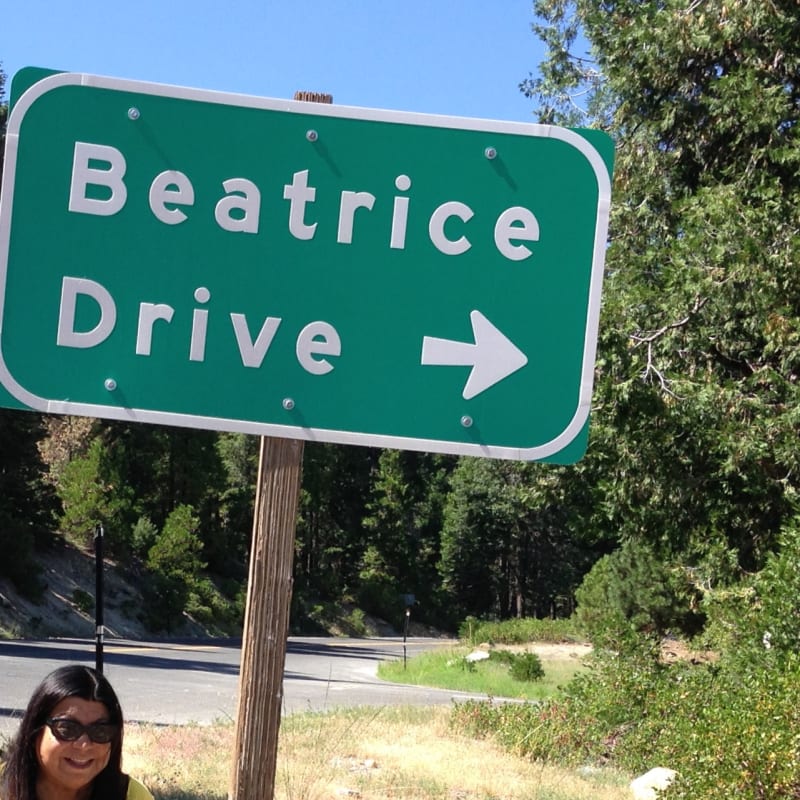 NO. 318 EBBETTS PASS ROUTE - Look what we found!