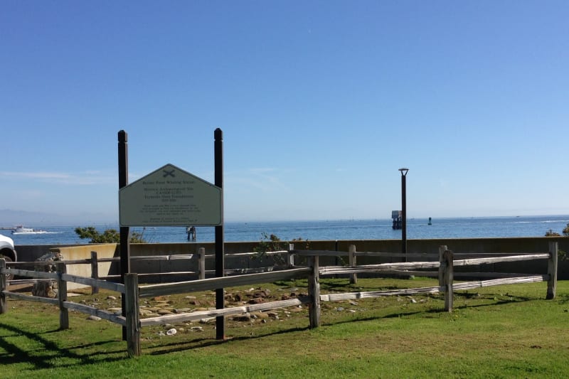 NO. 50 BALLAST POINT WHALING STATION SITE - Oven Foundations