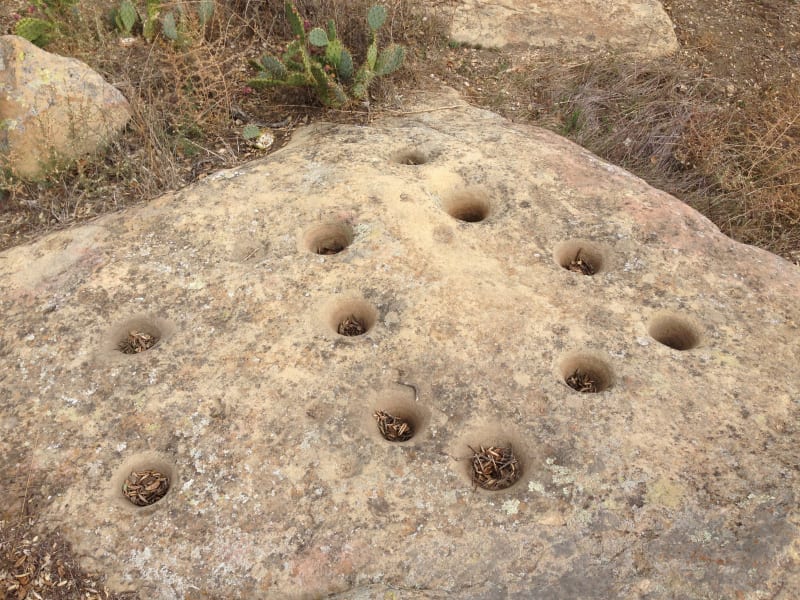 NO. 217 BLACK STAR CANYON INDIAN VILLAGE - Grinding holes