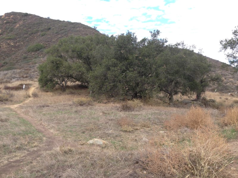 NO. 217 BLACK STAR CANYON INDIAN VILLAGE SITE