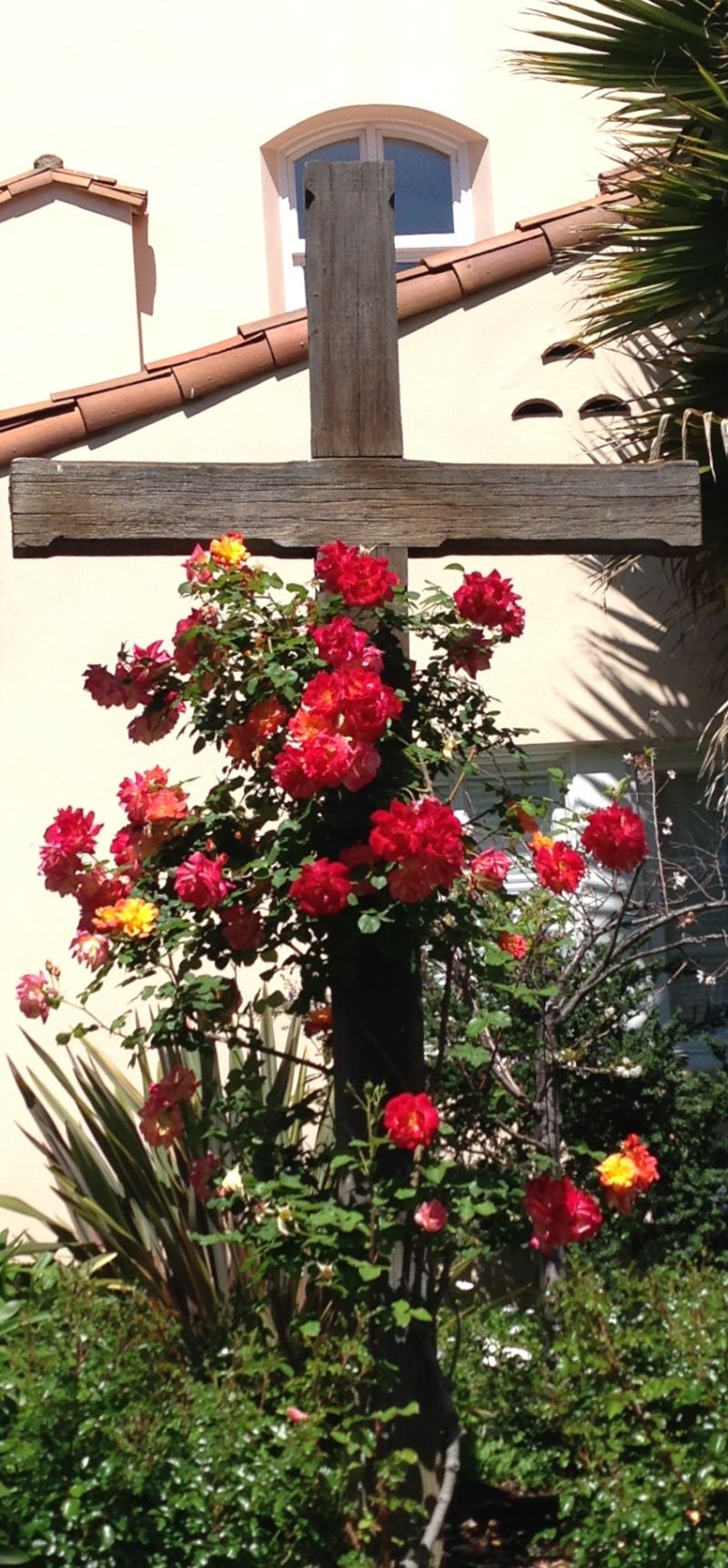 CHL #220 - Mission San Rafael Arcangel