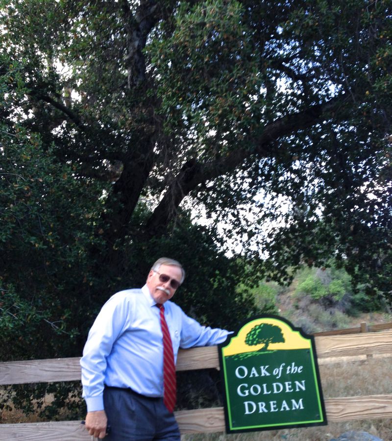 CHL #168 - Oak of the Golden Dream