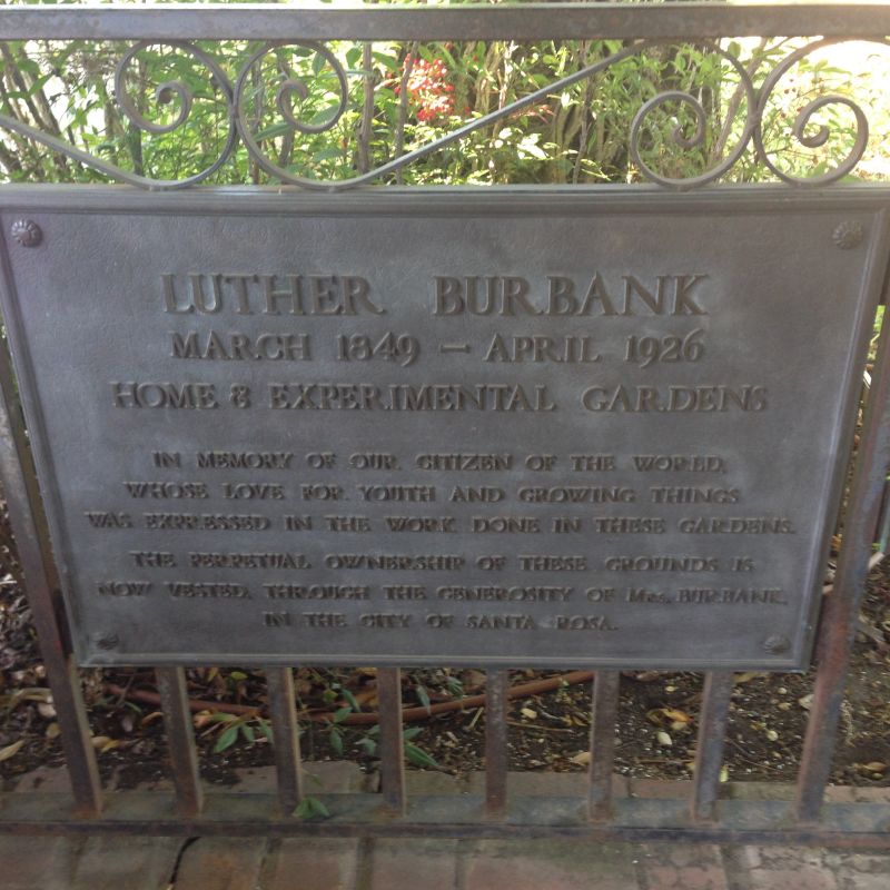 CHL #234 - Luther Burbank House and Garden Private Plaque