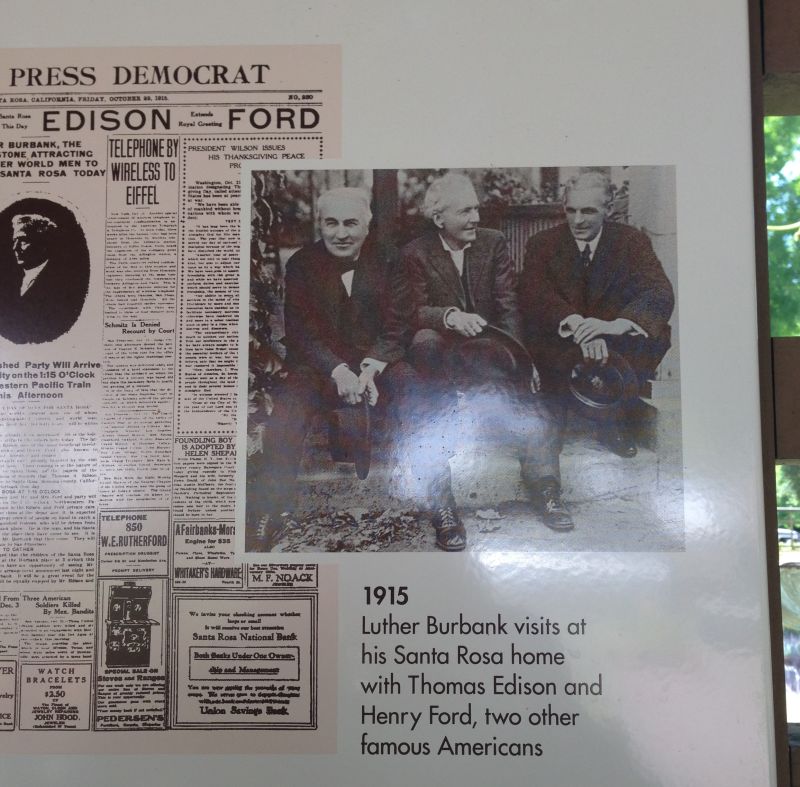 Thomas Edison and Henry Ford visit Luther Burbank
